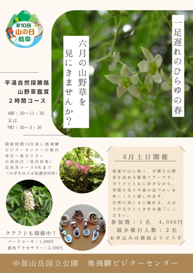 平湯自然探勝路山野草鑑賞２時間コース