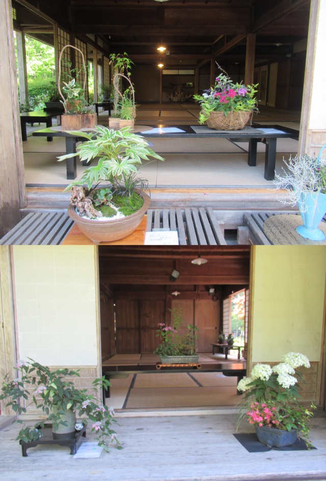 寄せ植え華道飛騨支部発表会