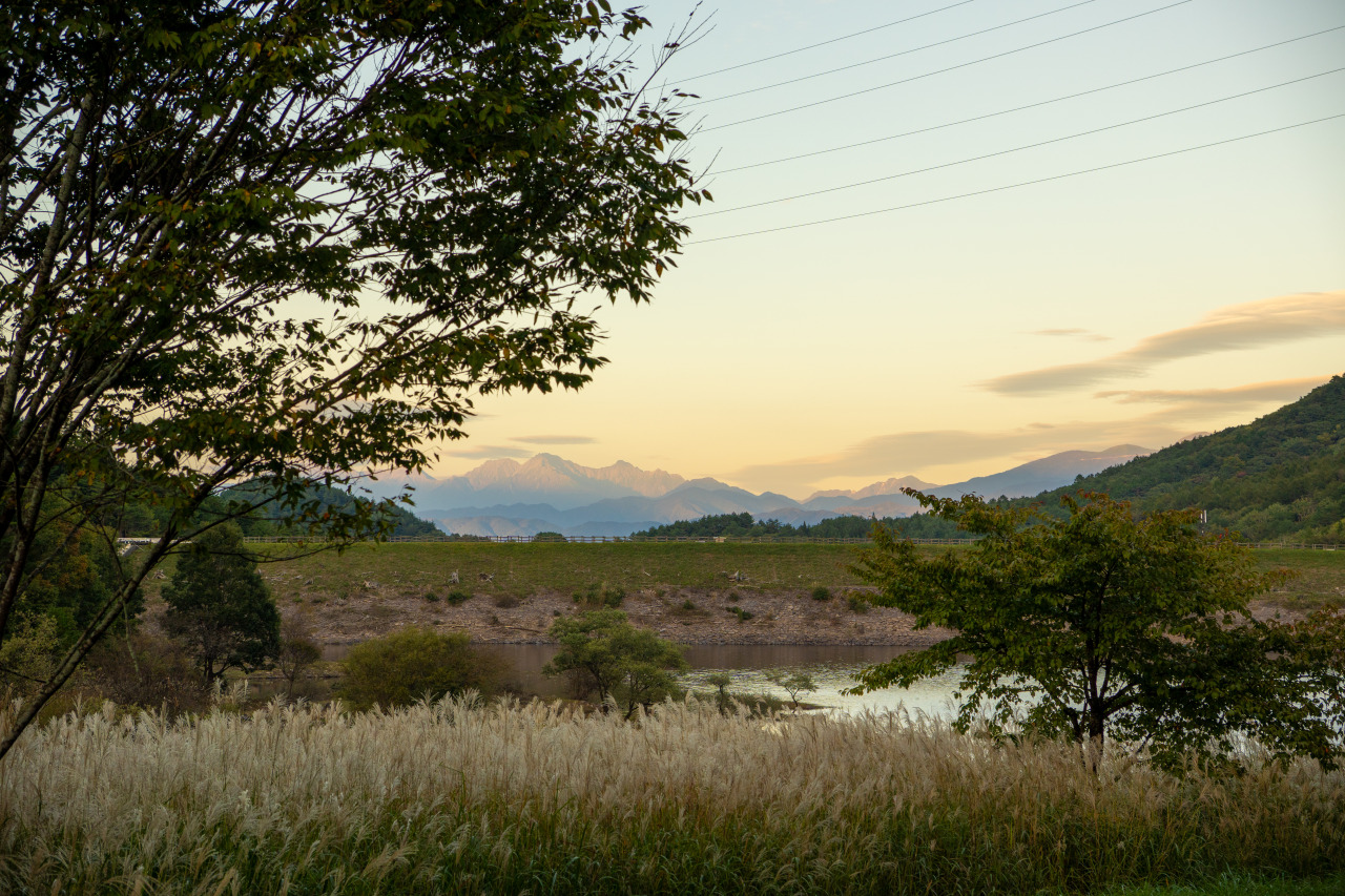秋のすすき越しに望む、夕暮れの北アルプス